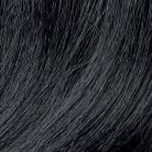 8ceb7feea515cea37525381d29e18126.jpg